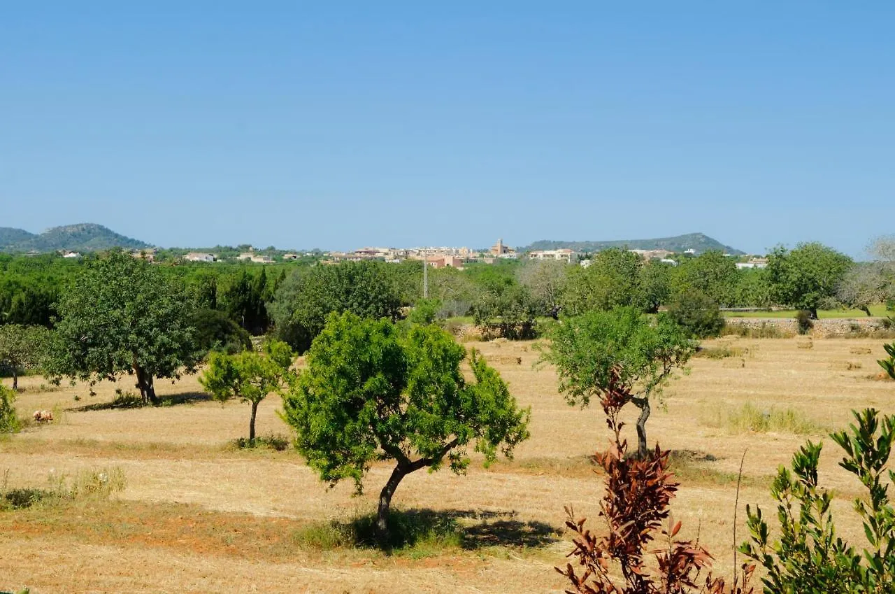 Finca Cullera Calonge  Ferienhaus Calonge (Mallorca)