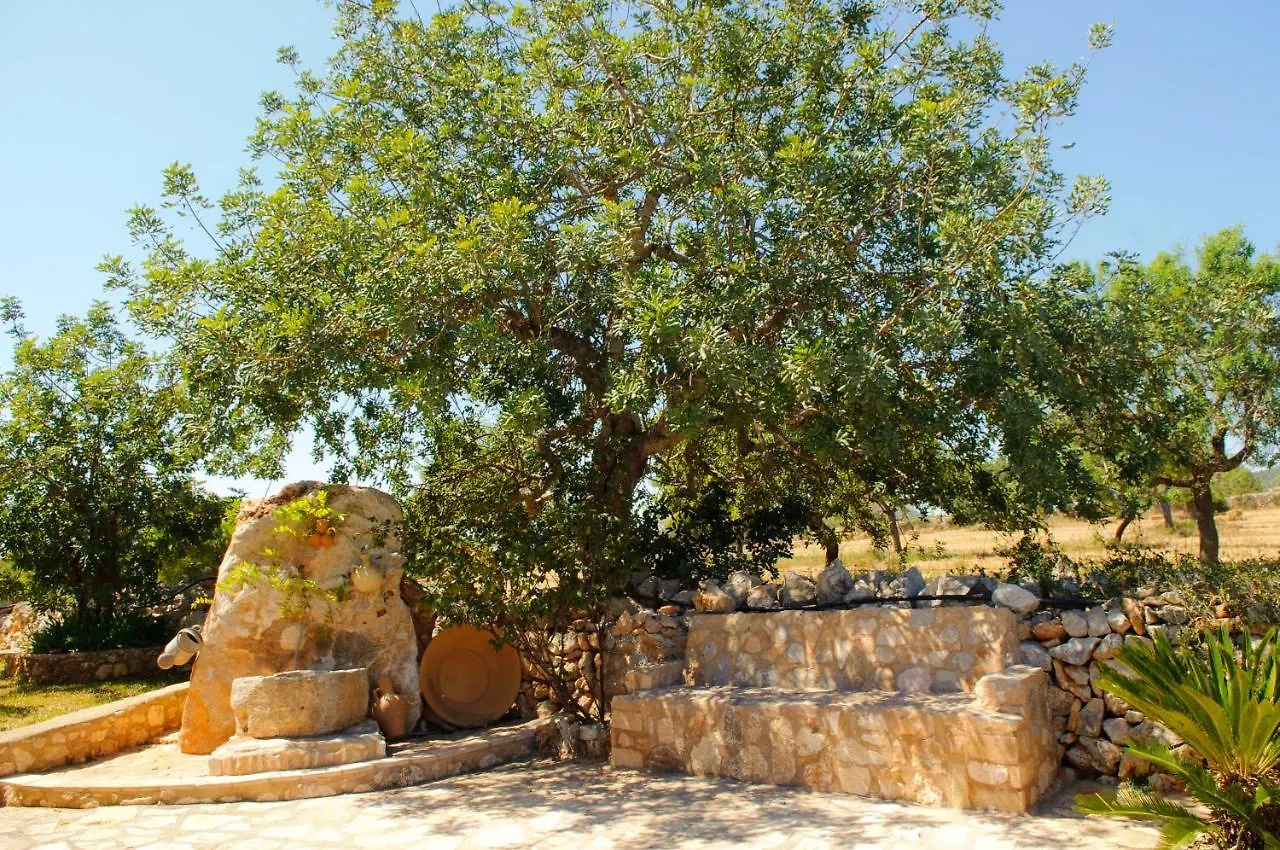 Finca Cullera Calonge