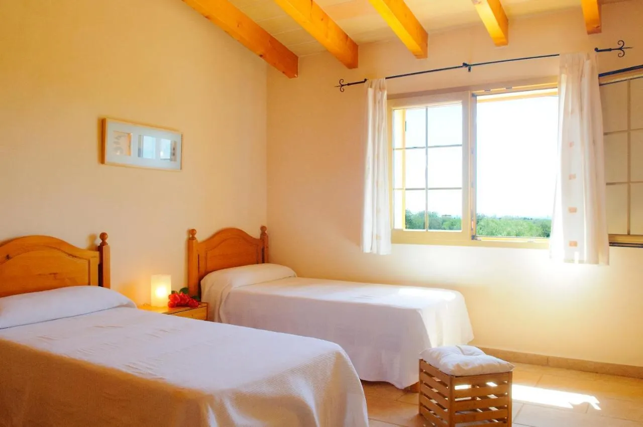 Finca Cullera Calonge  Holiday home